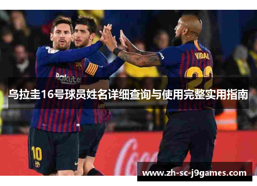 乌拉圭16号球员姓名详细查询与使用完整实用指南